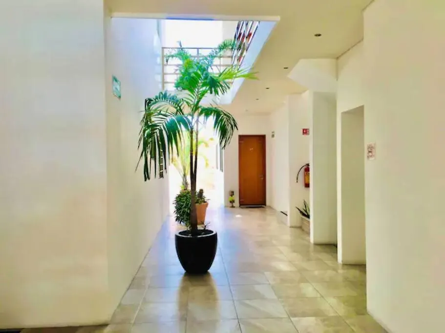 Top Vip! Pent-House With Your Private Pool & Chairs 2 Bedrooms Playa del Carmen 0*,  Mexico