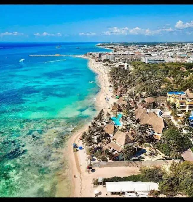 Top Vip! Pent-House With Your Private Pool & Chairs 2 Bedrooms Playa del Carmen Apartment