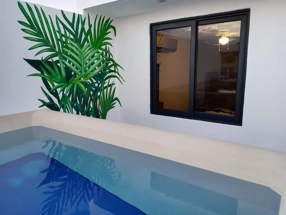 Apartment Top Vip! Pent-House With Your Private Pool & Chairs 2 Bedrooms Playa del Carmen